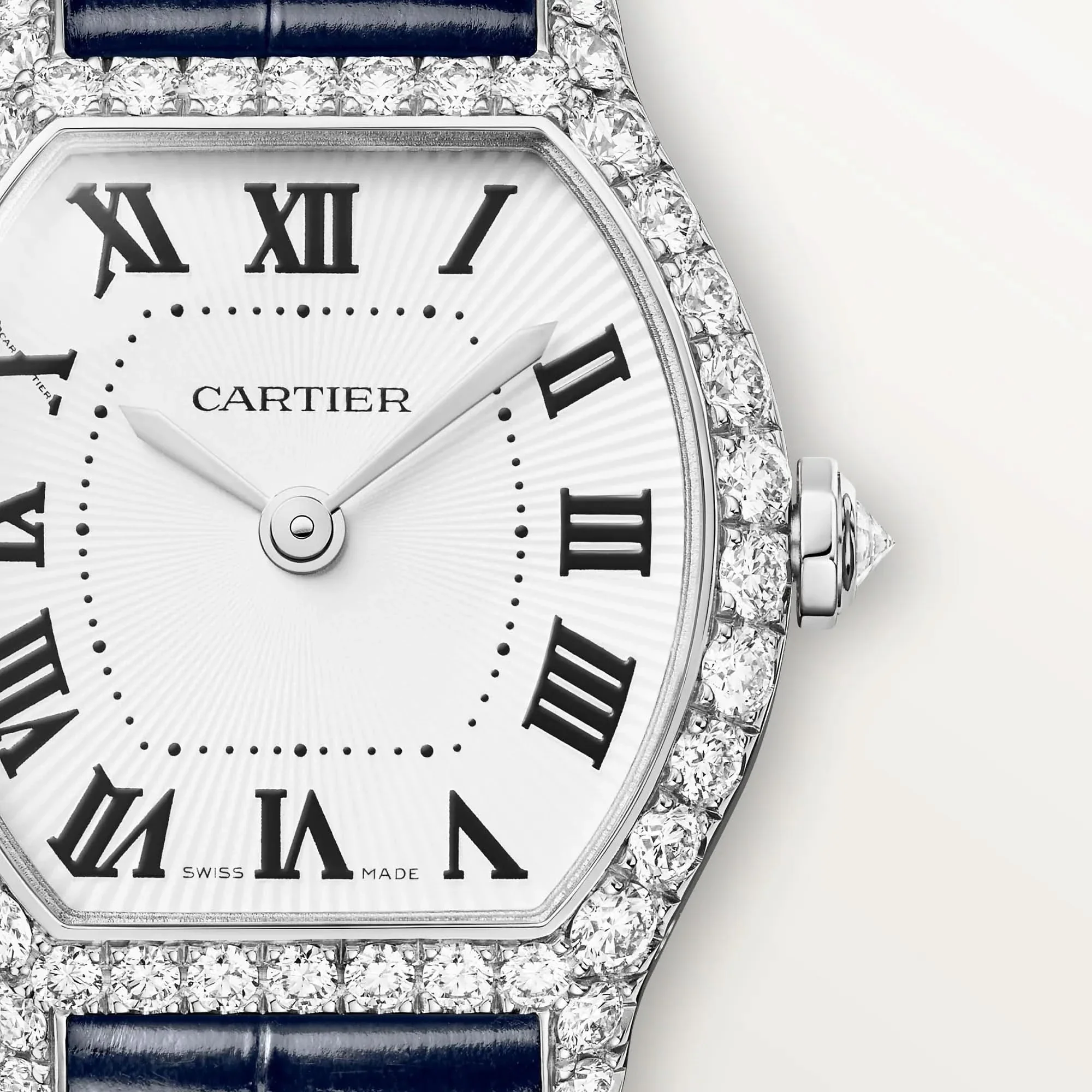 Tortue watch Mini Model - Image 6
