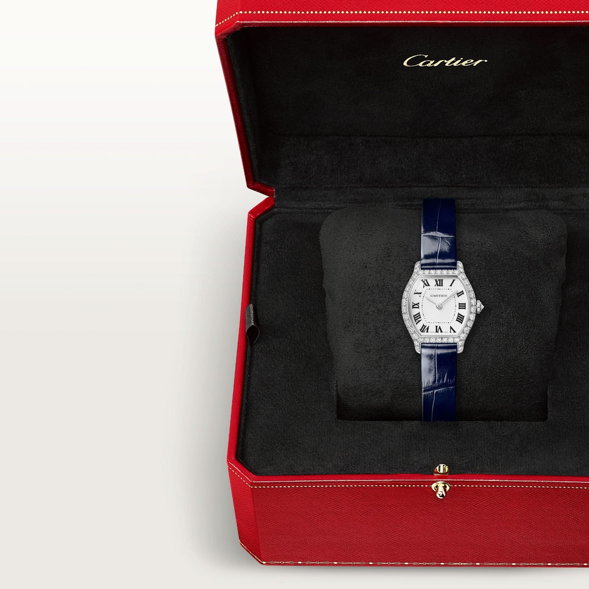 Tortue watch Mini Model - Image 7