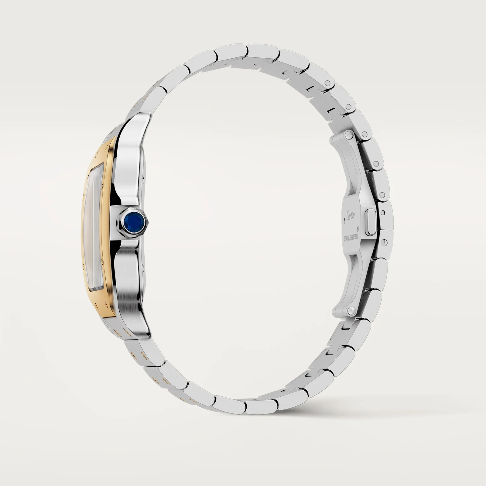 Santos de Cartier watch Large Model - Image 6