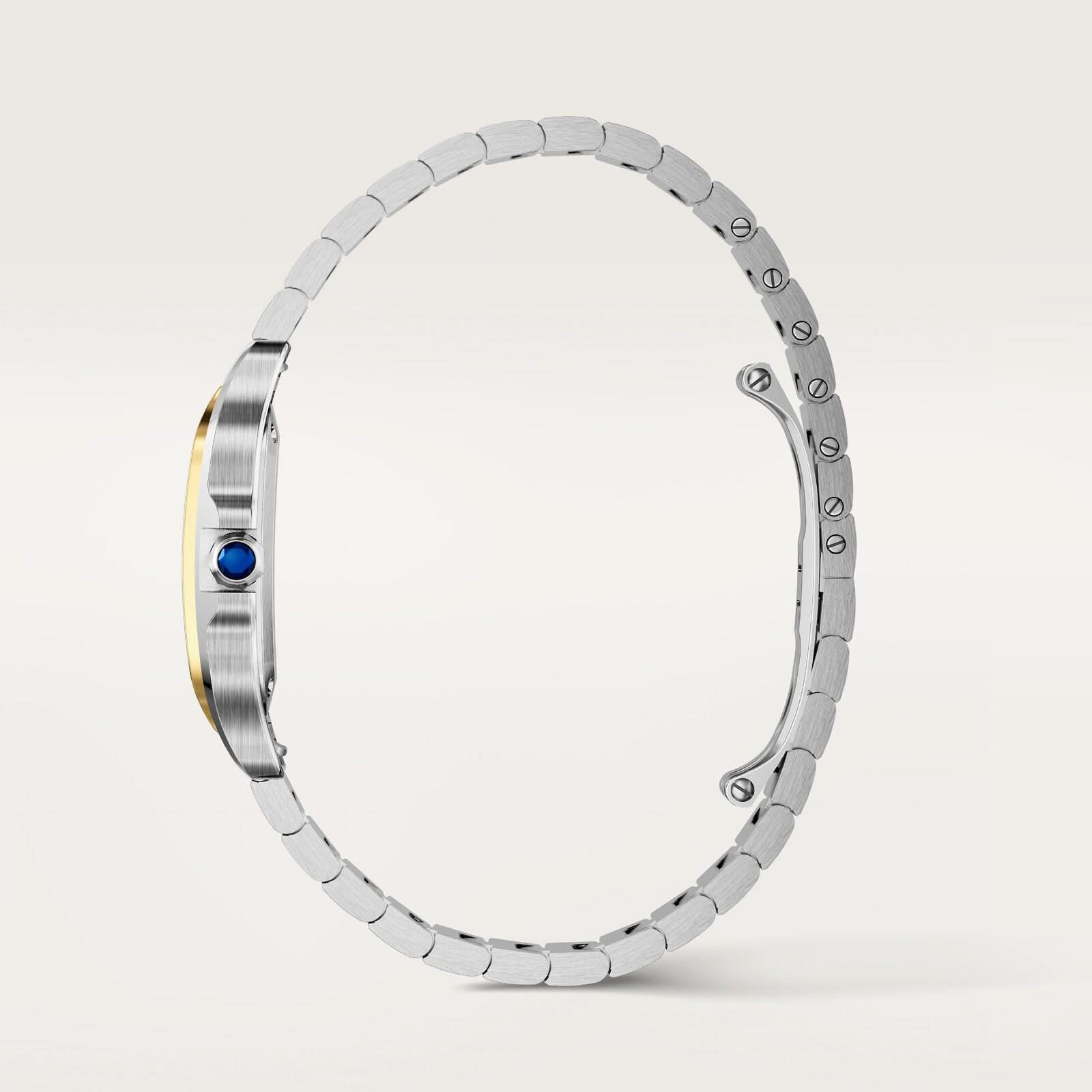 Santos de Cartier watch Small Model - Image 3