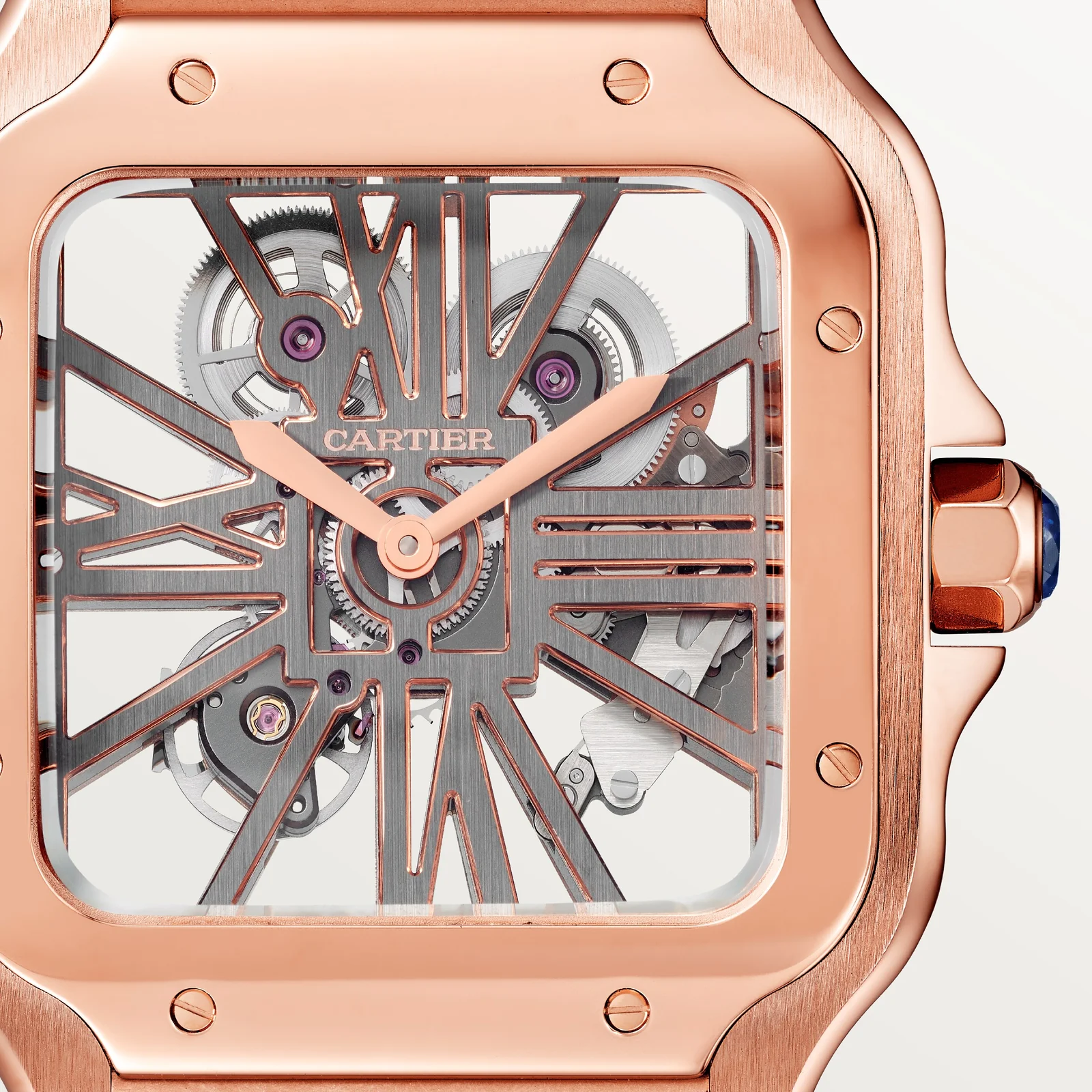 Santos de Cartier watch Large Model - Image 7