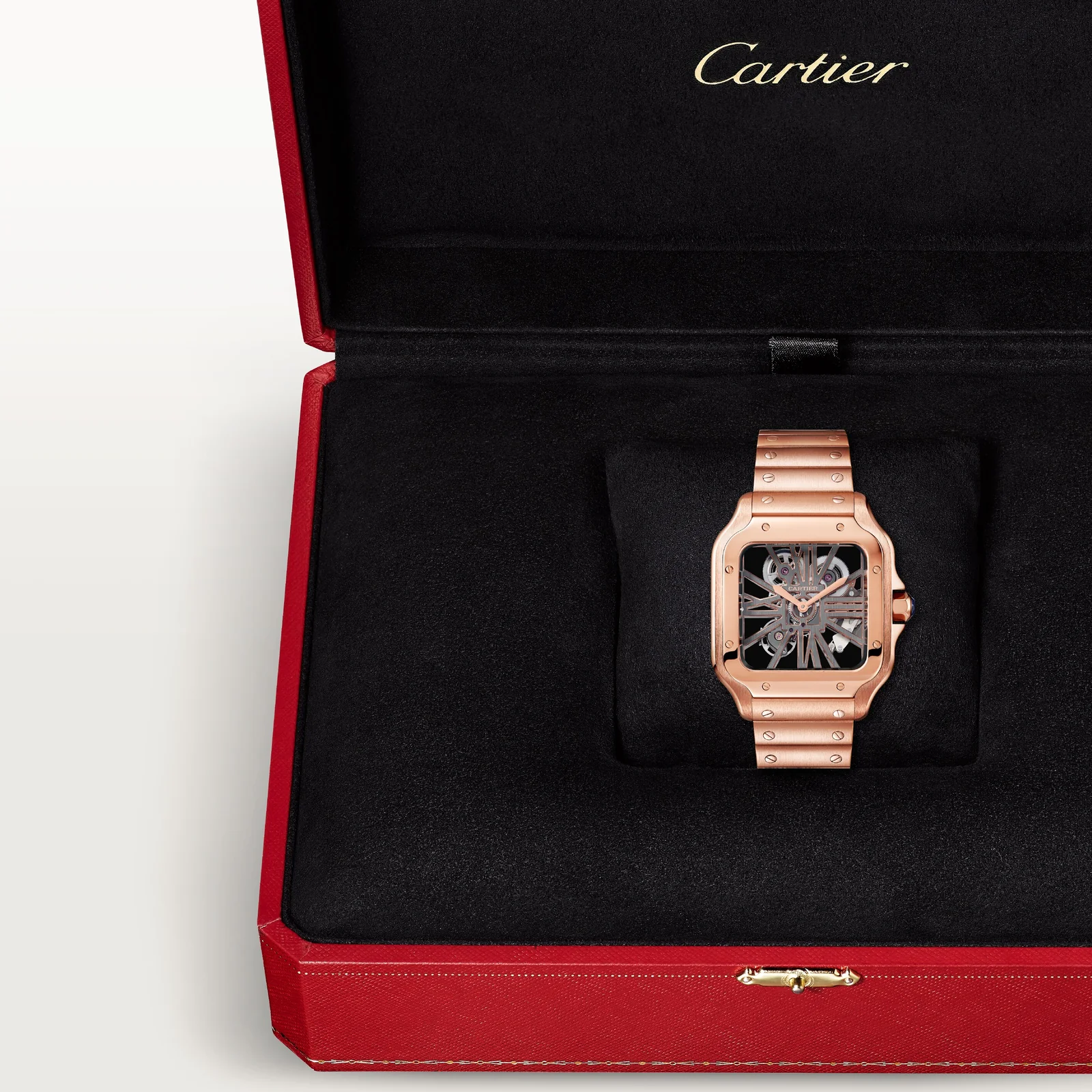 Santos de Cartier watch Large Model - Image 8